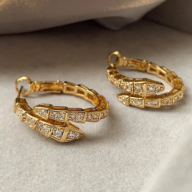 Snake Design Hoop Earrings